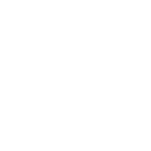 Icon Career Growth