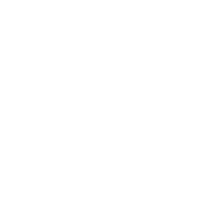 Icon Career Growth